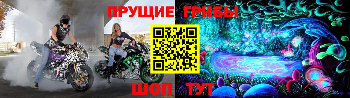 Псилоцибиновые грибы Psilocybe Шелехов