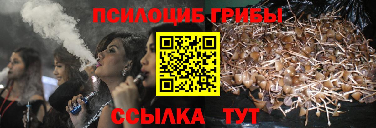 Галлюциногенные грибы MAGIC MUSHROOMS  Вход с VPN  Шелехов  Псилоцибиновые грибы Magic Shrooms 